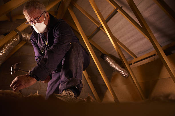 Best Insulation Maintenance and Repair in Sun City West, AZ